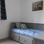 Vrijstaande Woning Met Grote Zonnige Tuin Met Jacuzzi Vakantiehuis