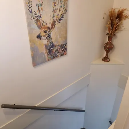 Vrijstaande Woning Met Grote Zonnige Tuin Met Jacuzzi Дом отдыха *