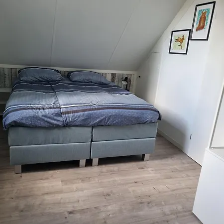 Vakantiewoning Met Overdekte, Voorverwarmde Jacuzzi In Grote Tuin * Ewijk