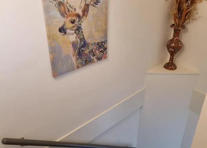 Vrijstaande Woning Met Grote Zonnige Tuin Met Jacuzzi Semesterbostad *